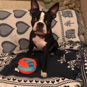 Meet your Posher, Julie